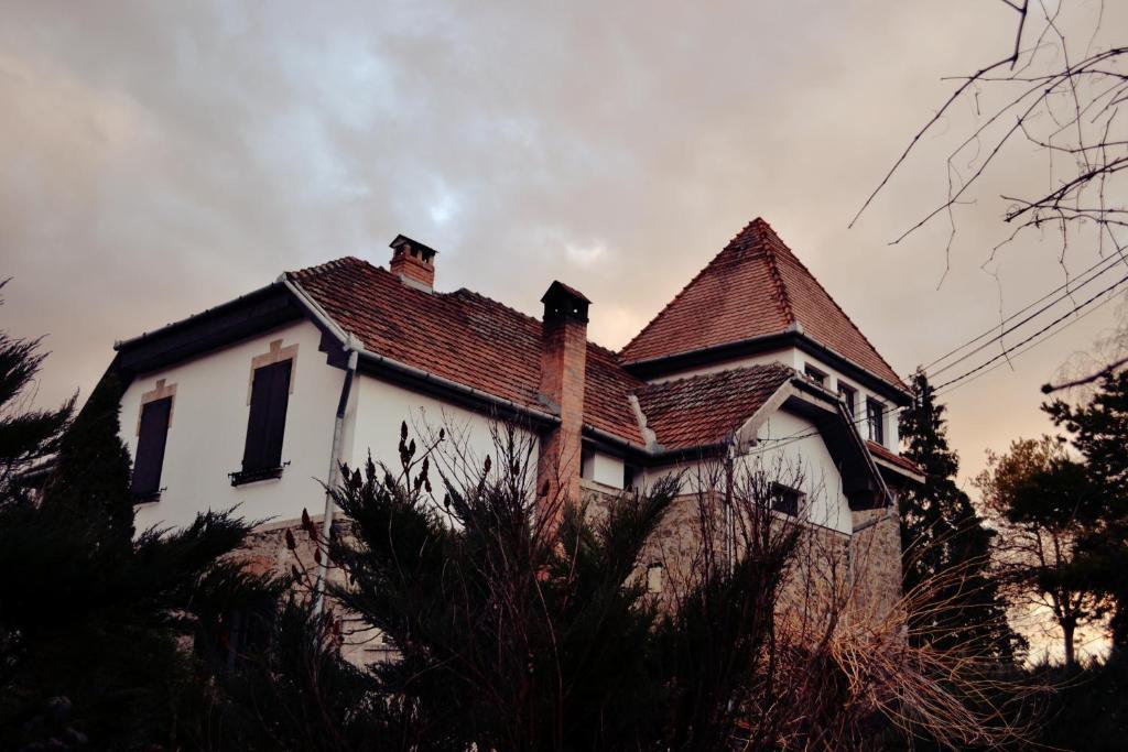 Villa Castelul Maria Banpotoc Exteriör bild