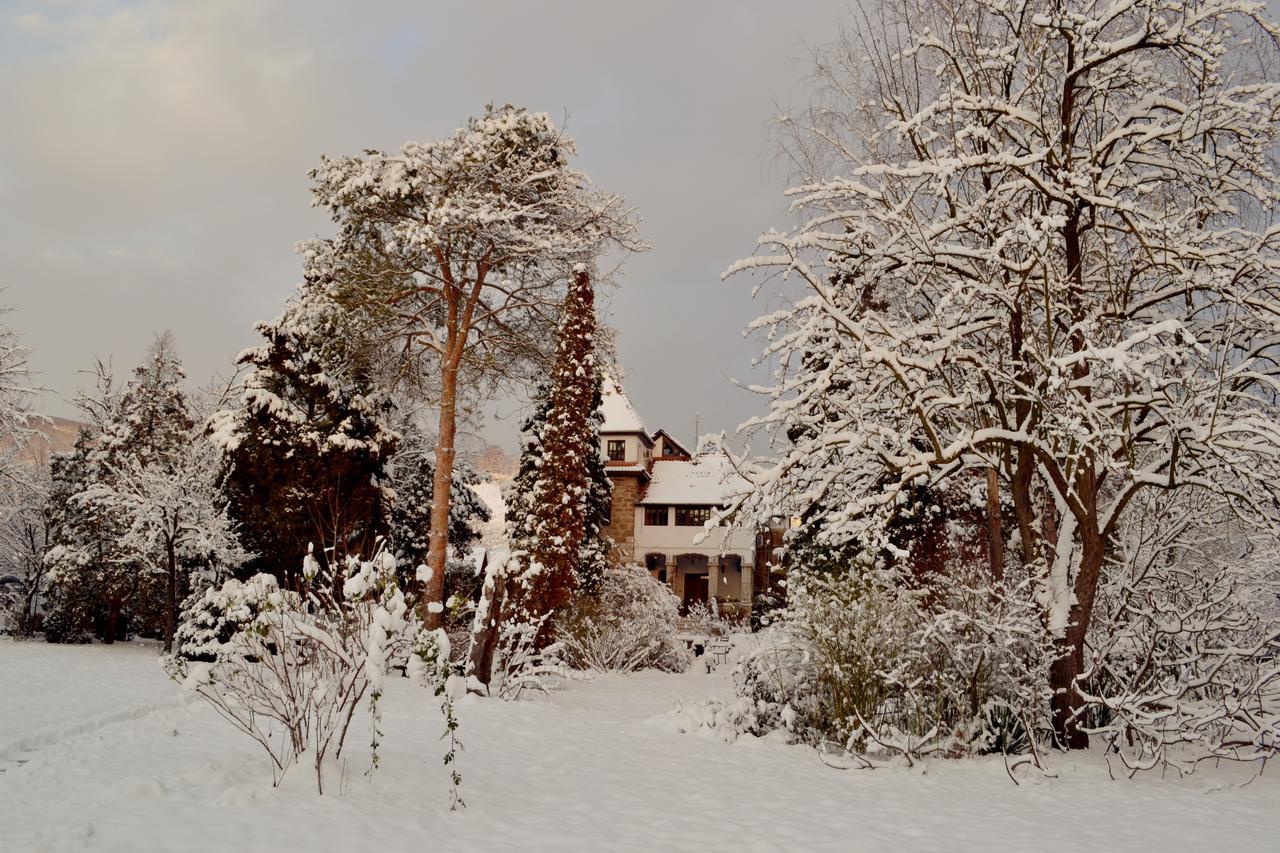 Villa Castelul Maria Banpotoc Exteriör bild